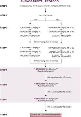 A Comparison of Parenteral Phenobarbital vs. Parenteral Phenytoin as Second-Line Management for Pediatric Convulsive Status Epilepticus in a Resource-Limited Setting